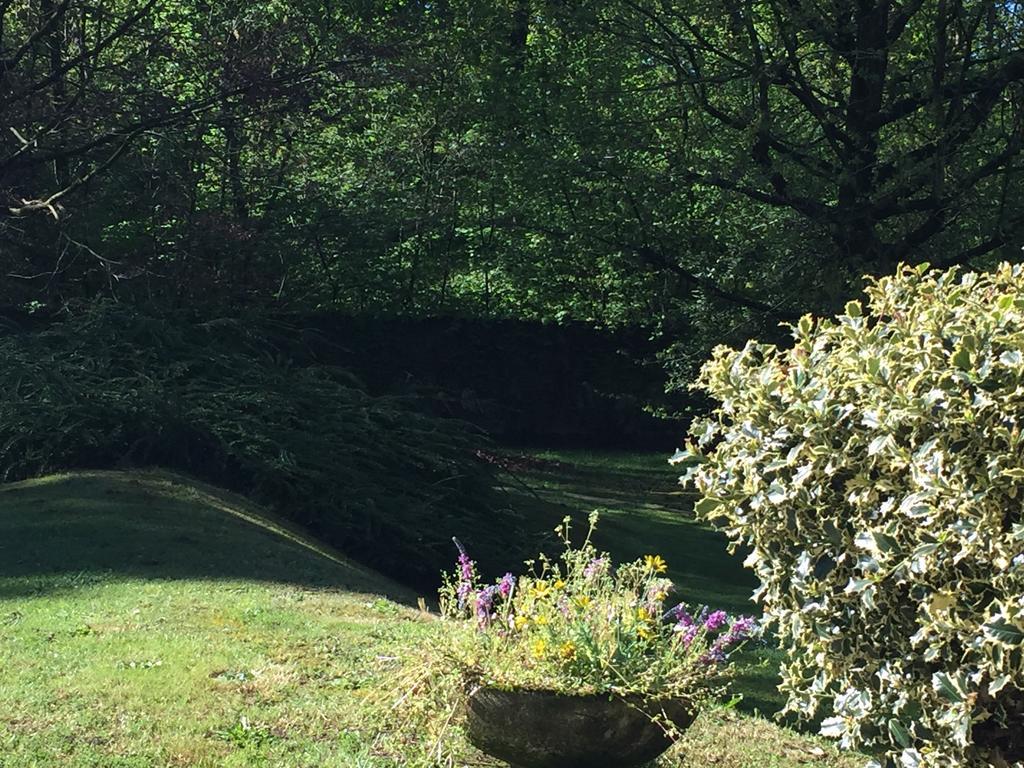 Bed&Garden Bed and Breakfast Cesate Exteriör bild